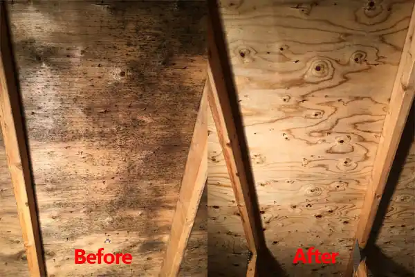 water damage restoration service Wilson